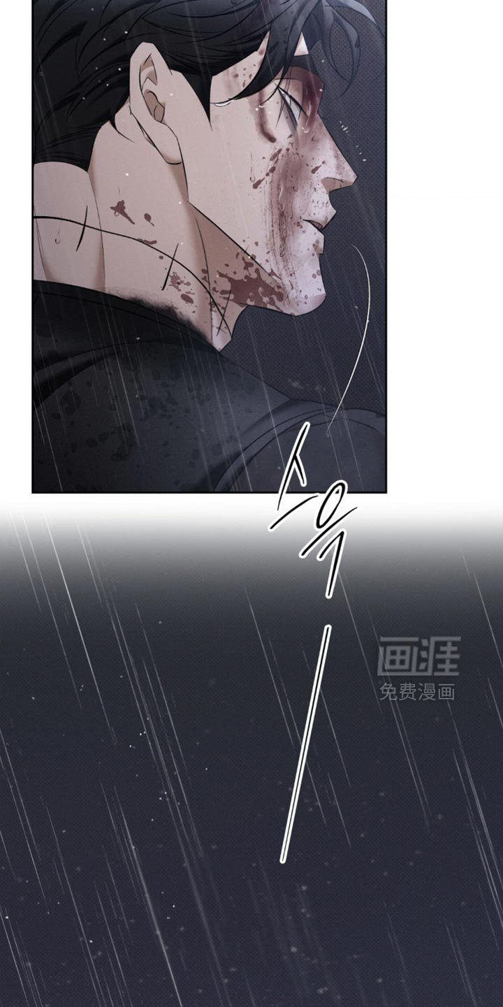 第41章：正确的选择