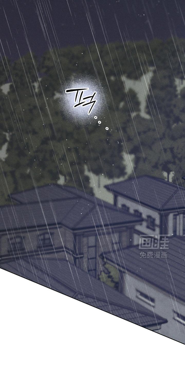 第41章：正确的选择