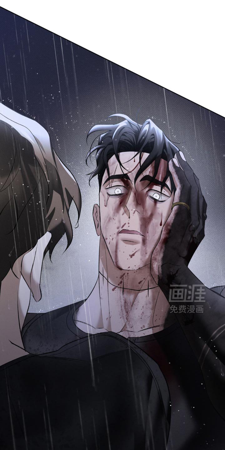 第41章：正确的选择
