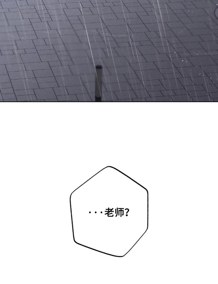 第41章：正确的选择