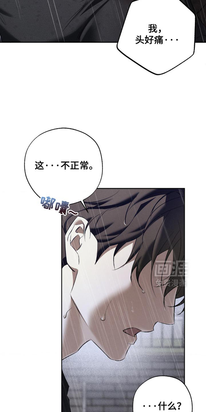 第42章：解释