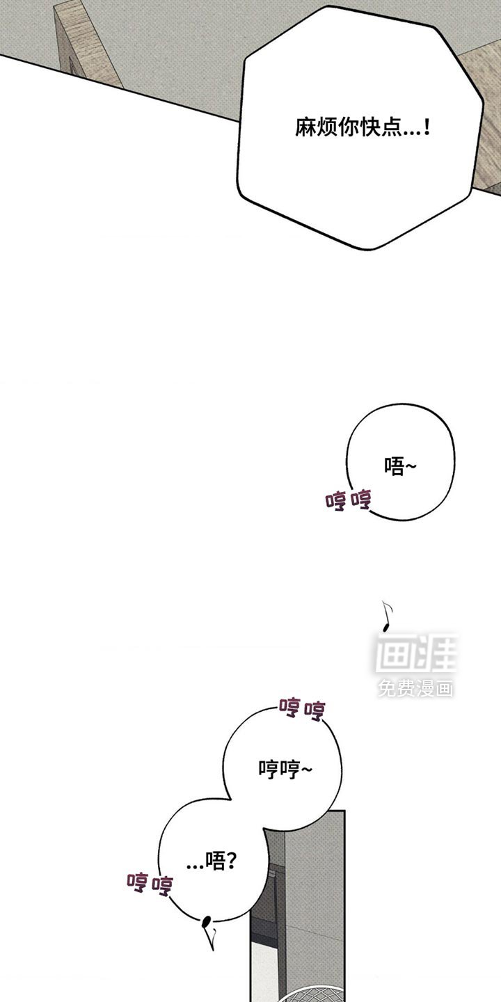 第46章：不一样