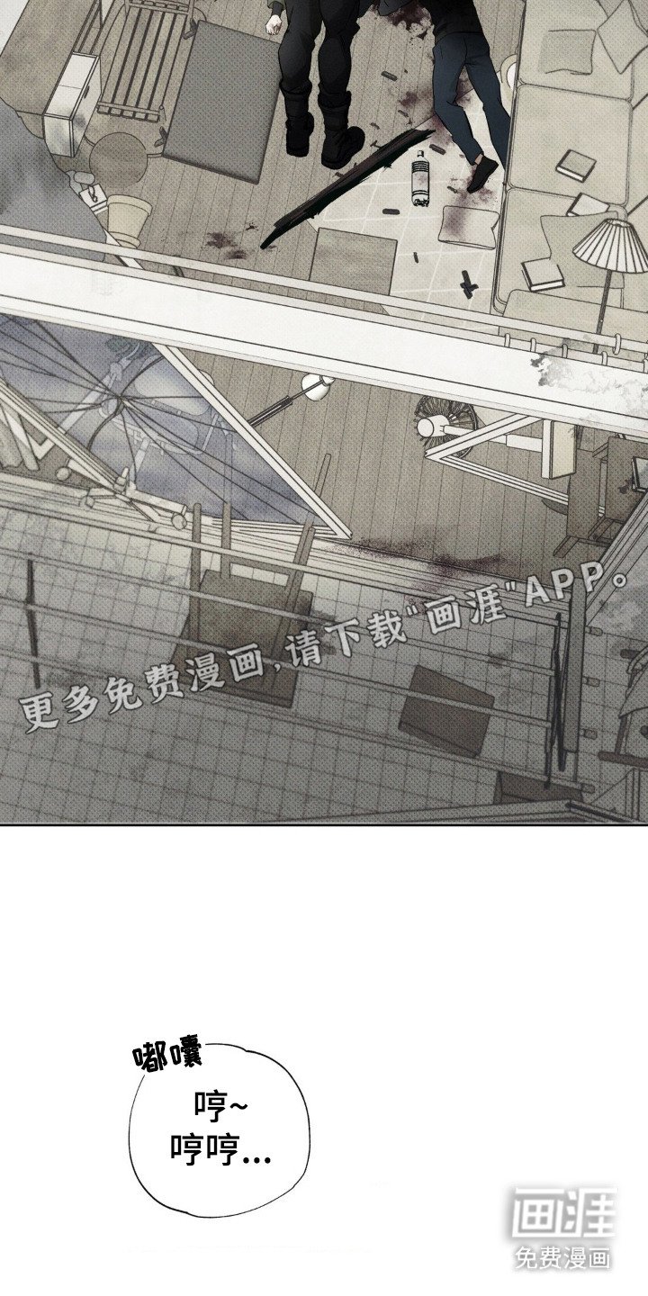第5章：毕业证书