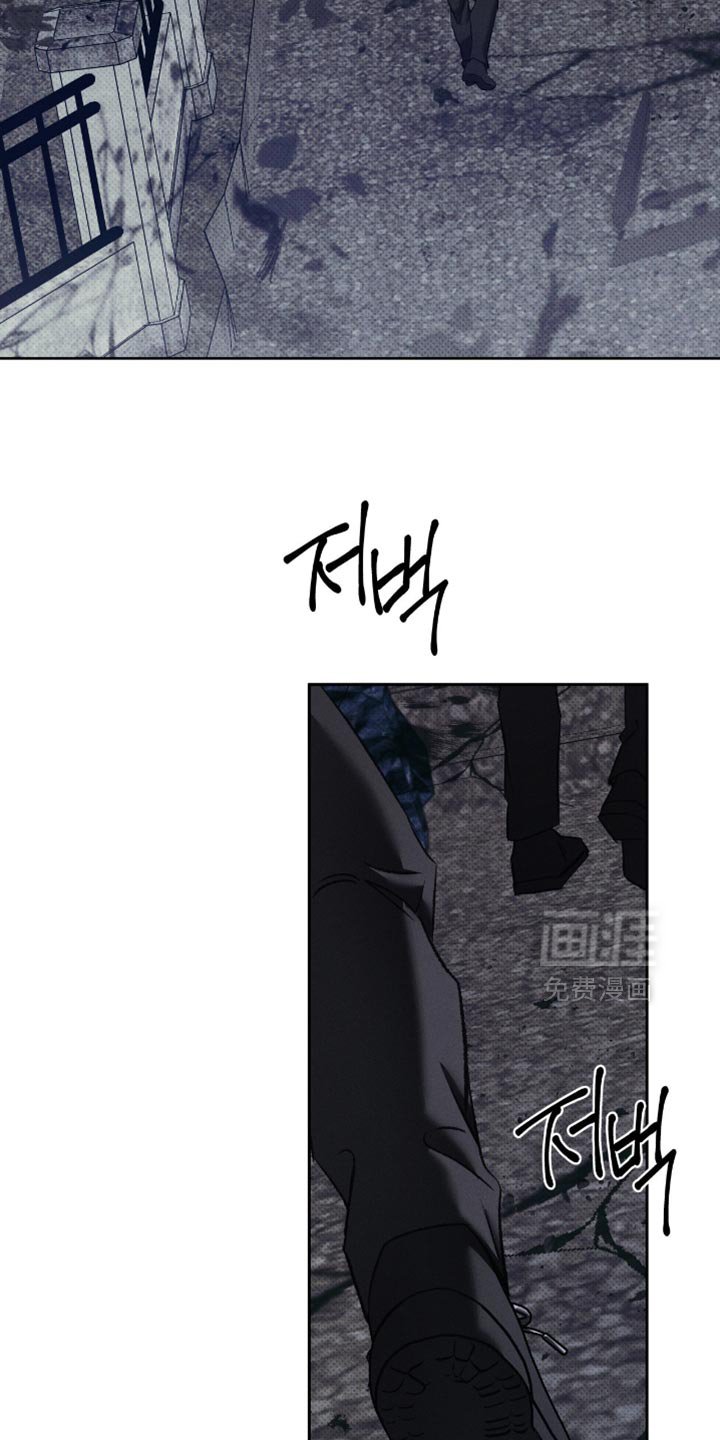 第50章：惊喜