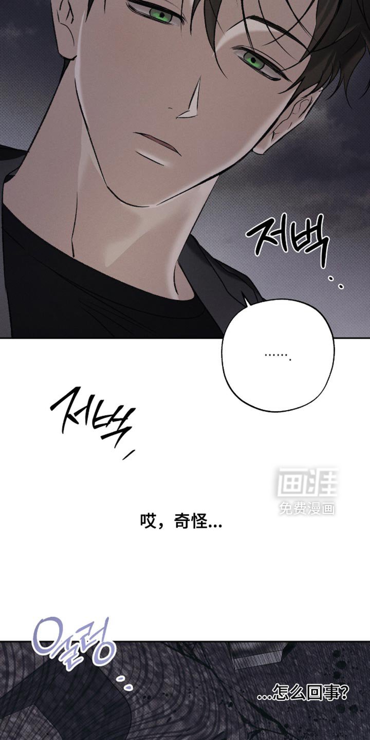 第50章：惊喜