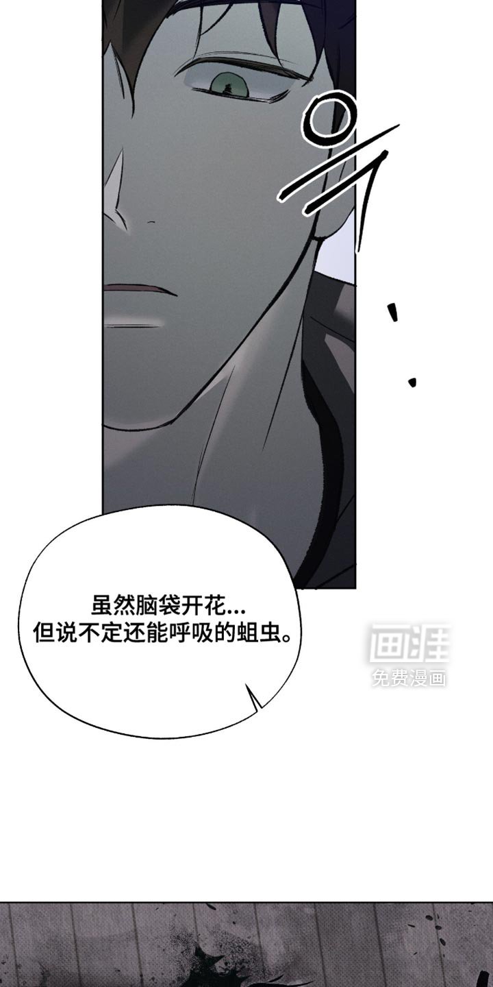 第50章：惊喜