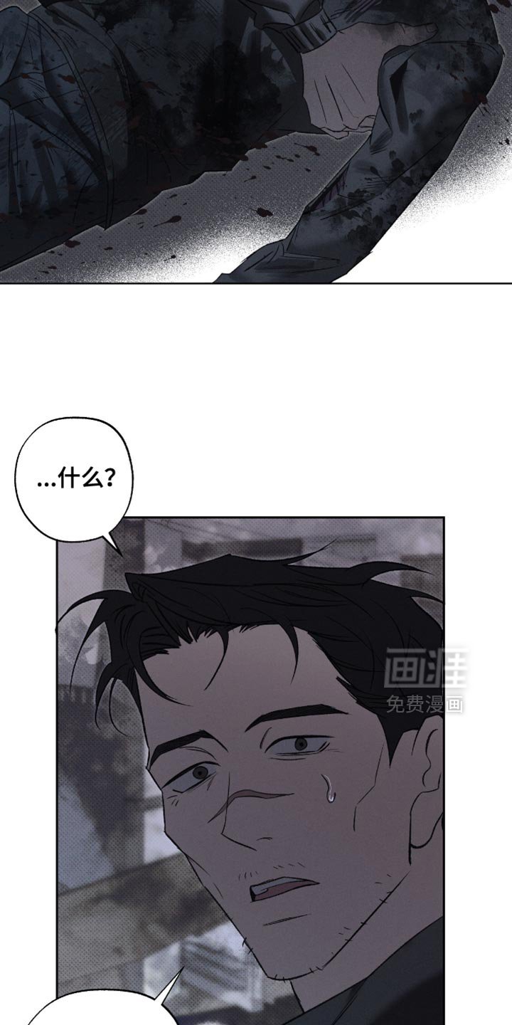 第50章：惊喜