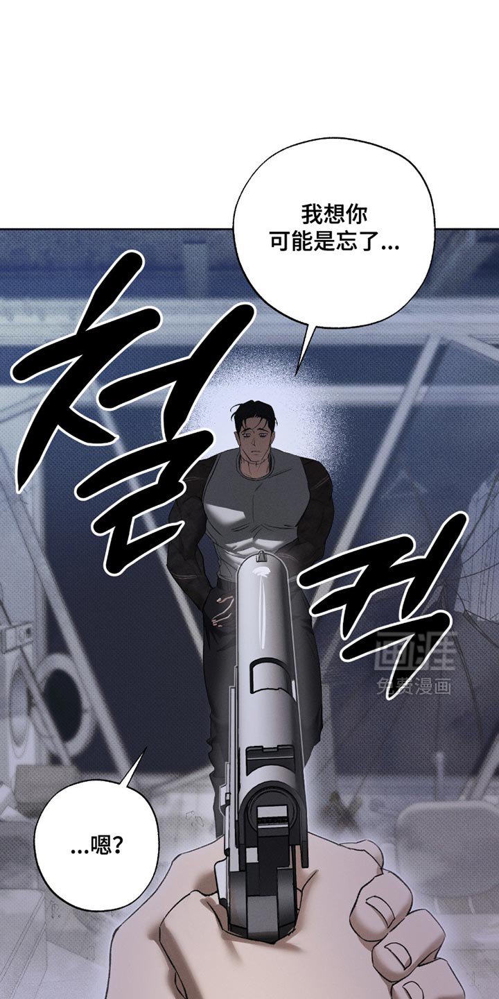 第52章：我们回家