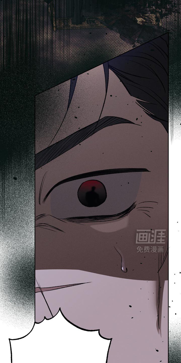 第52章：我们回家