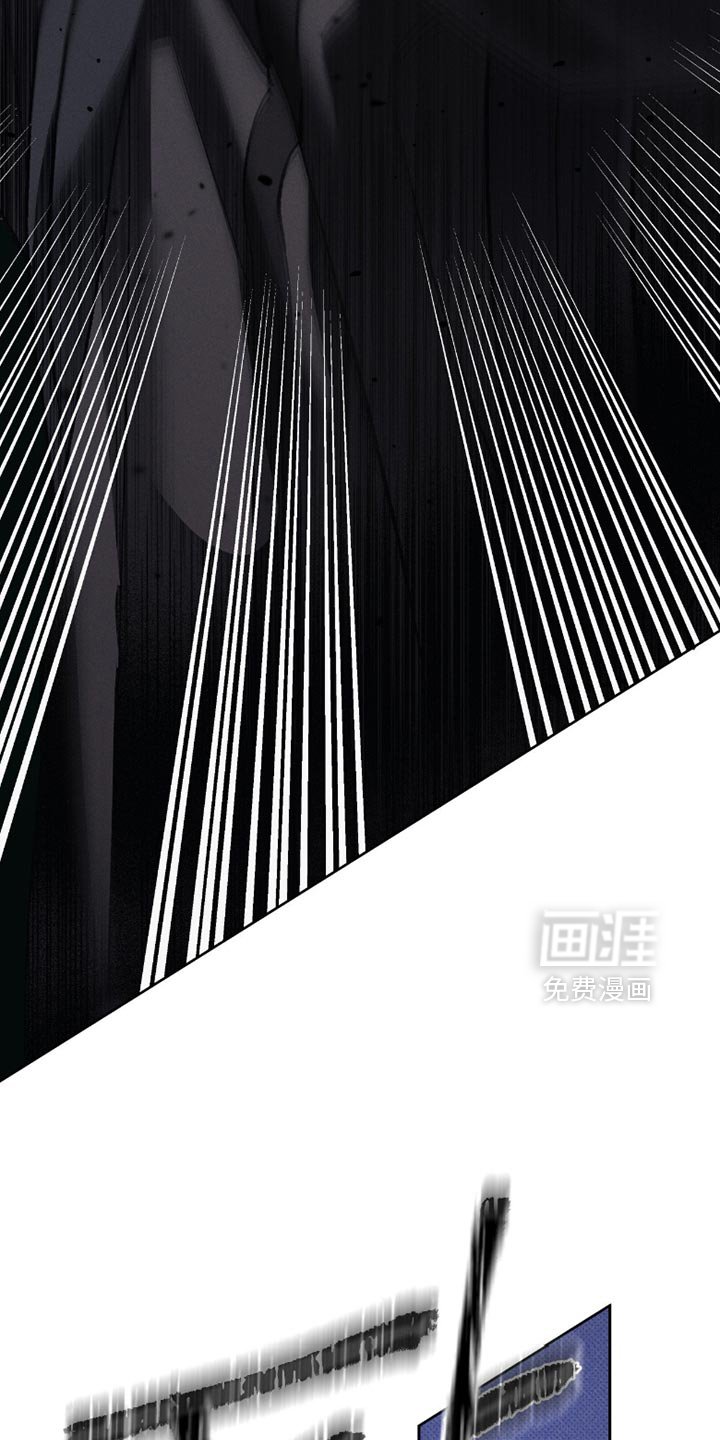第52章：我们回家
