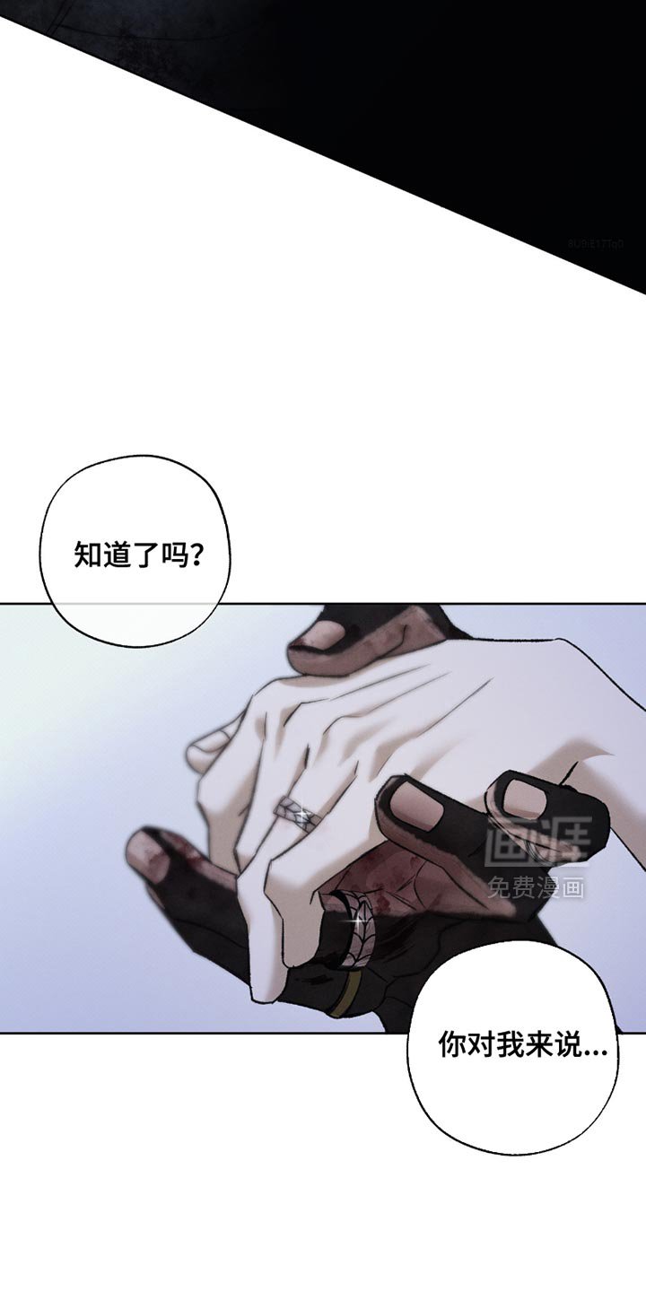 第52章：我们回家