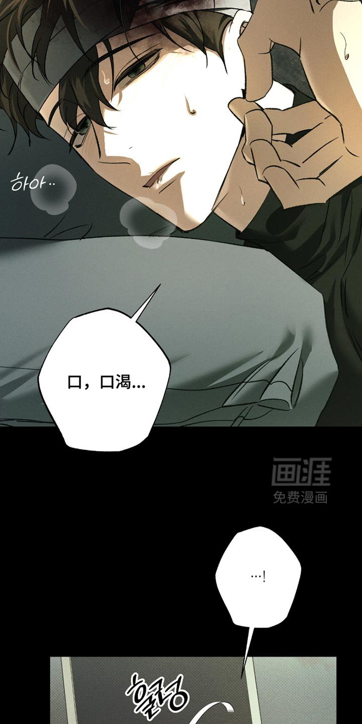 第53章：错觉