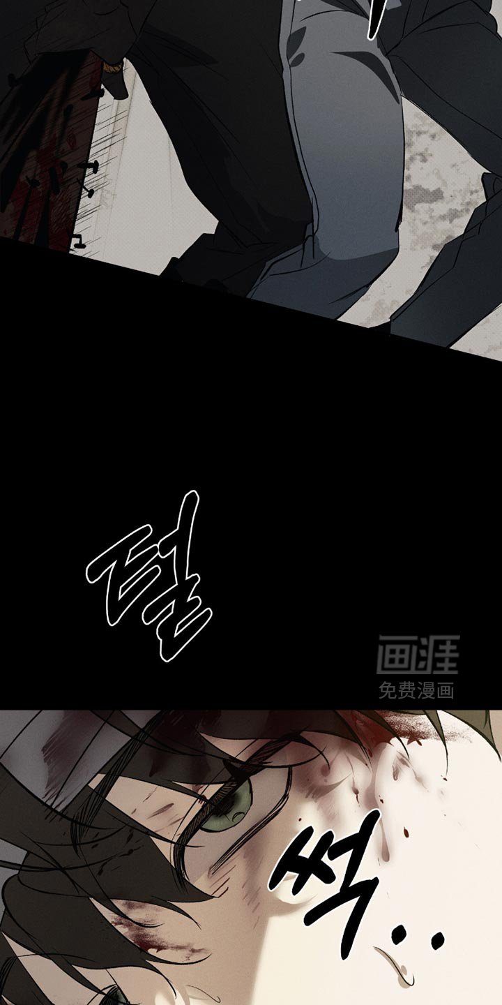 第53章：错觉