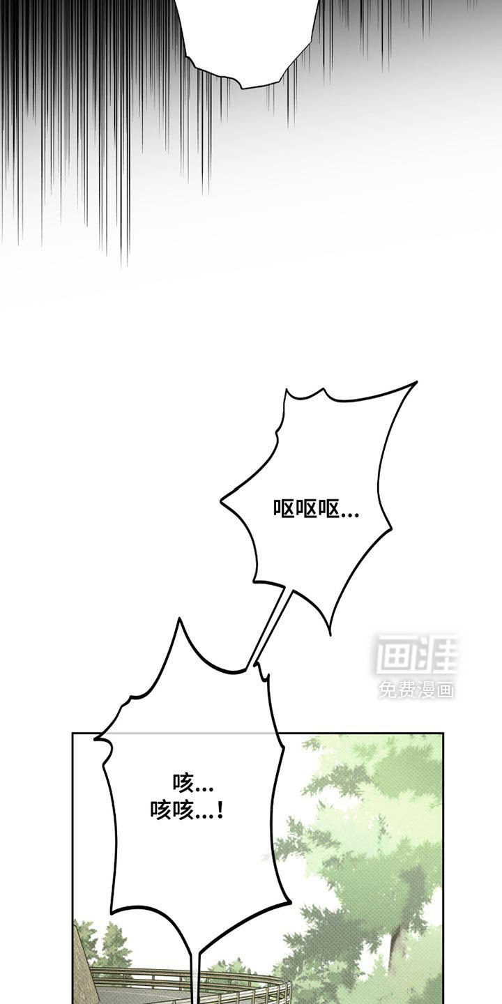 第53章：错觉