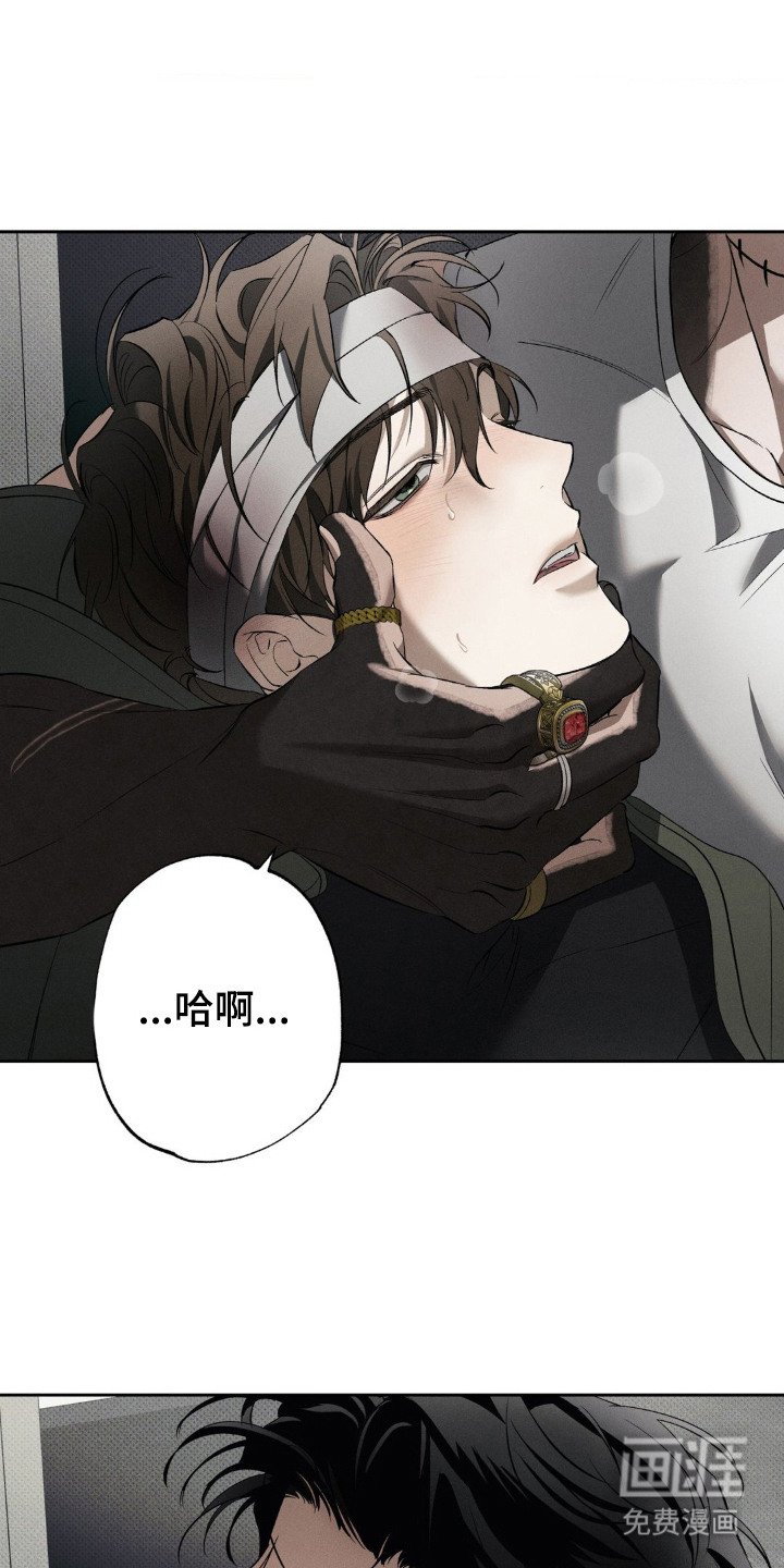 第6章：回家