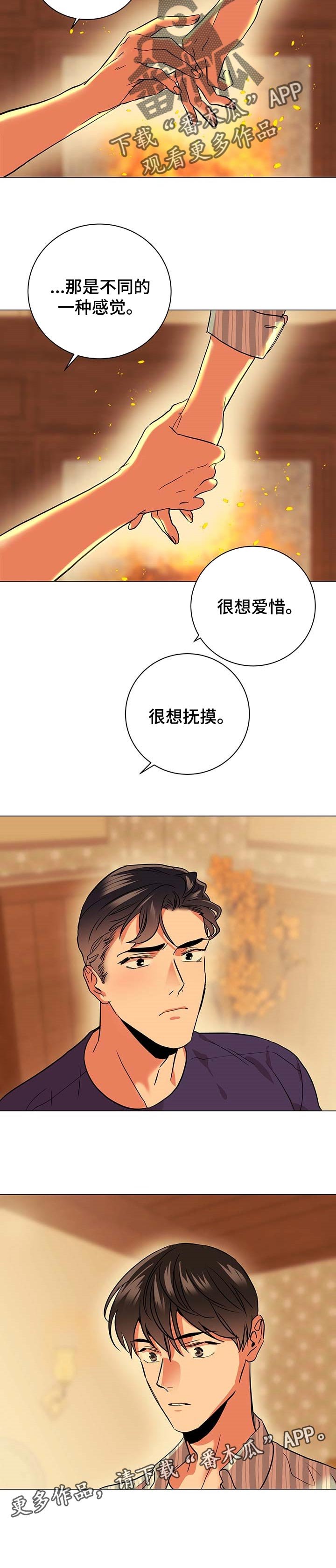 第146章：真正的爱