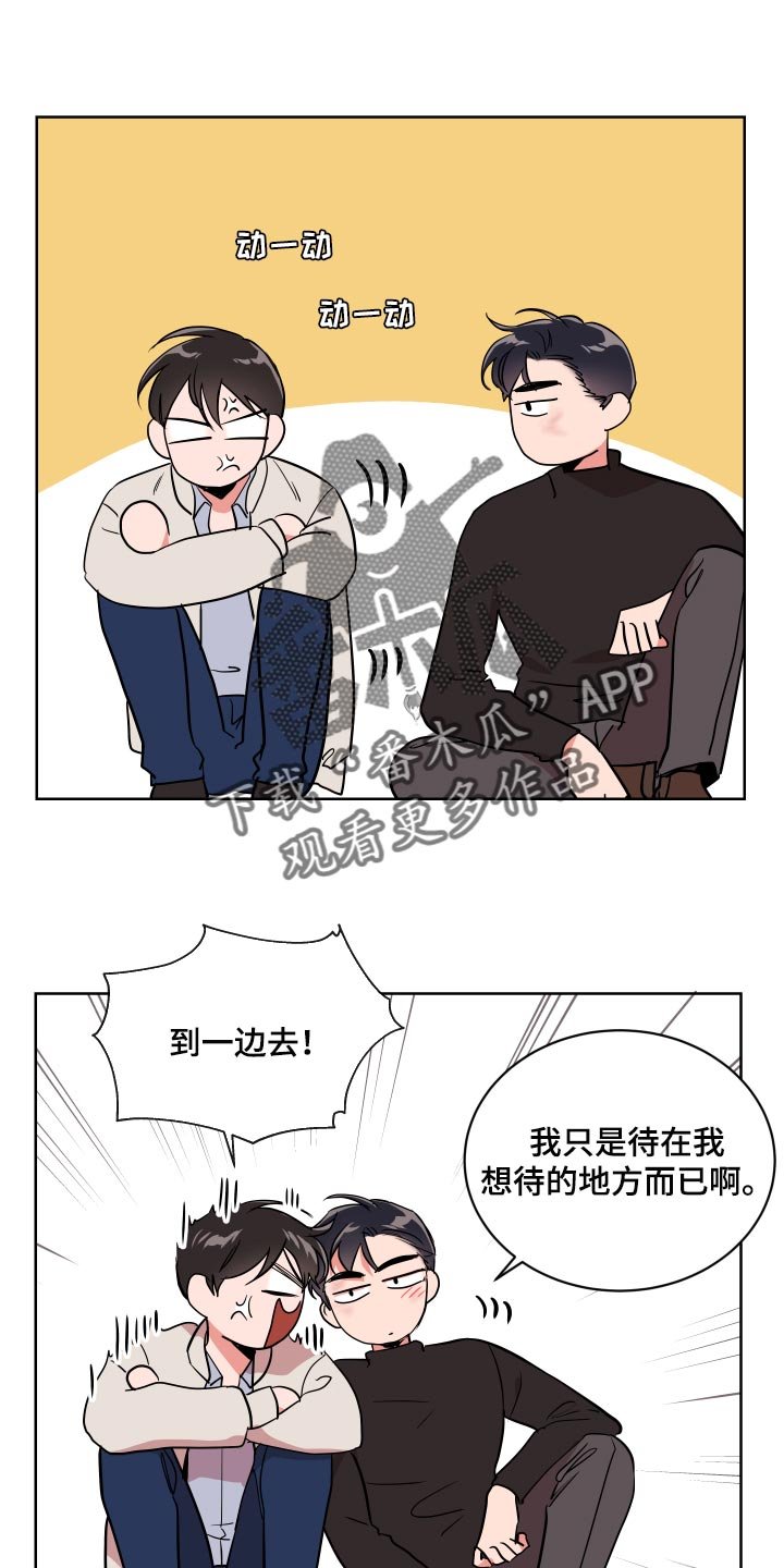 第164章：太漂亮了【完结】