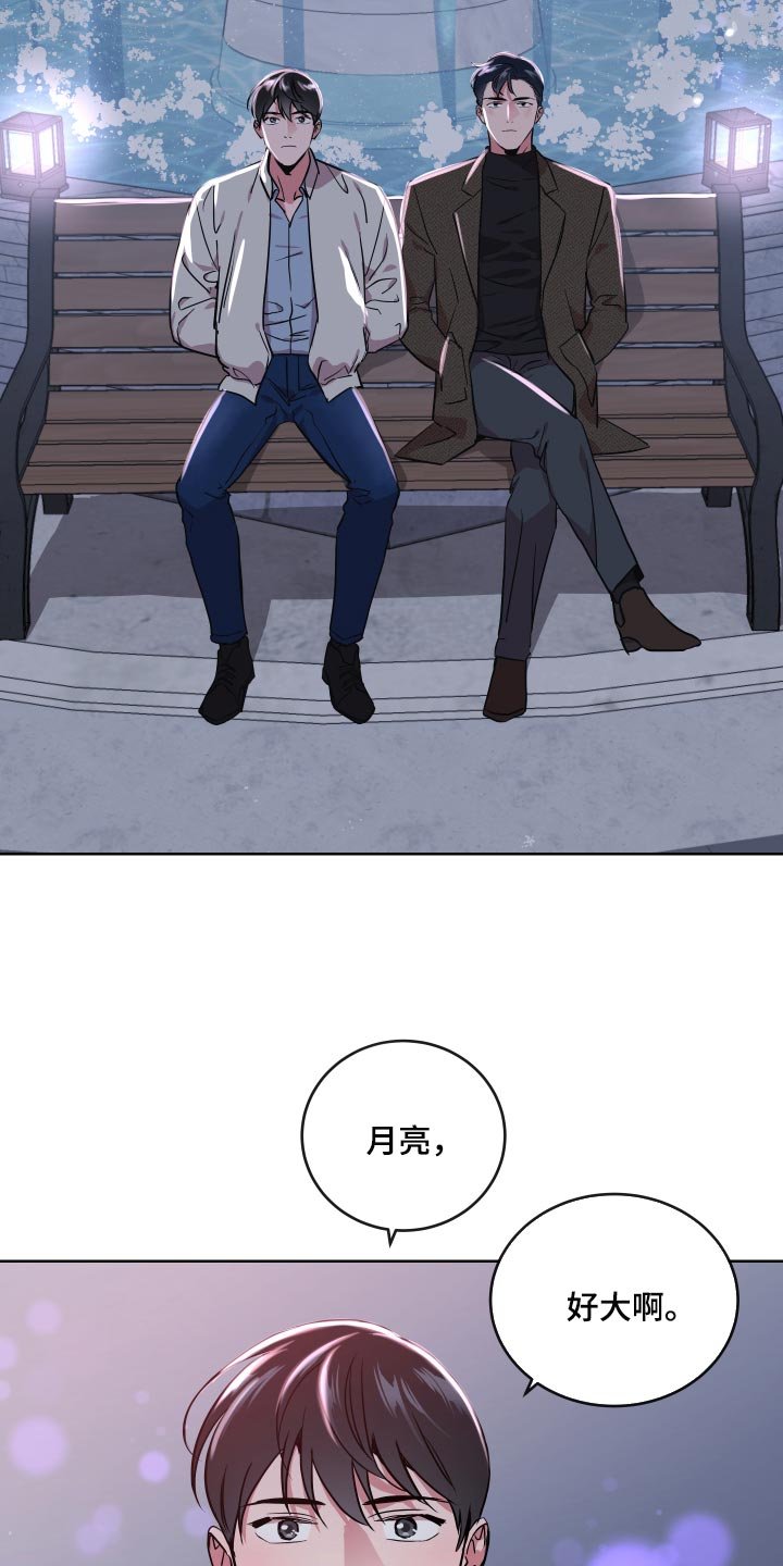 第164章：太漂亮了【完结】