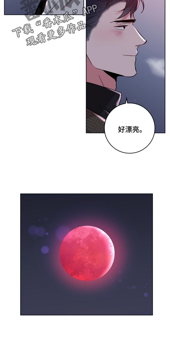 第164章：太漂亮了【完结】