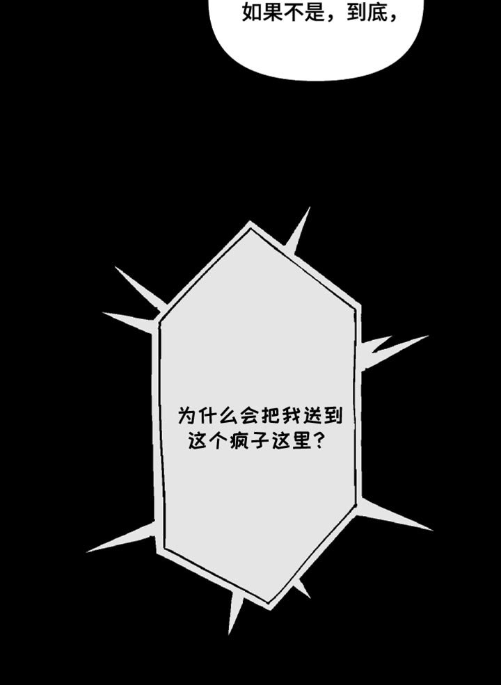 第175章：【特别篇】抓紧时间