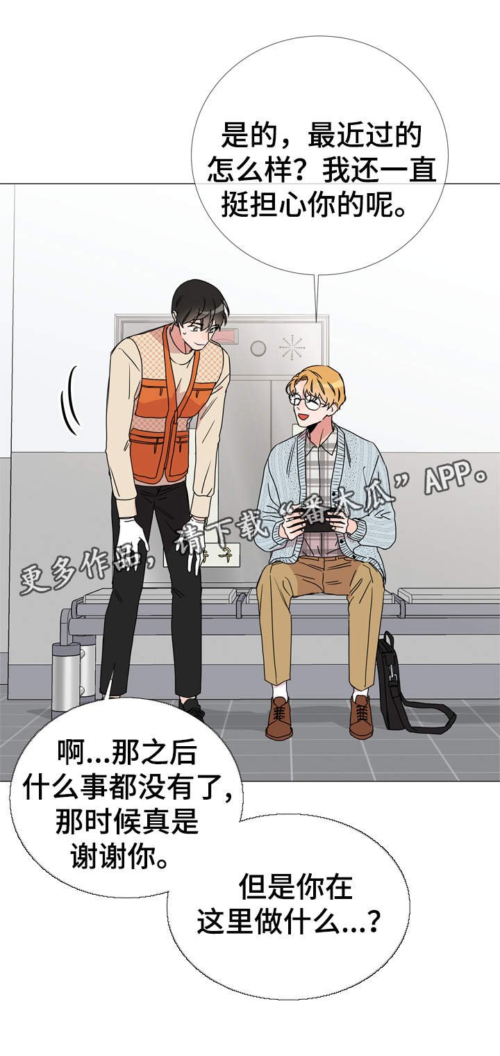 第33章：他喜欢什么样的人