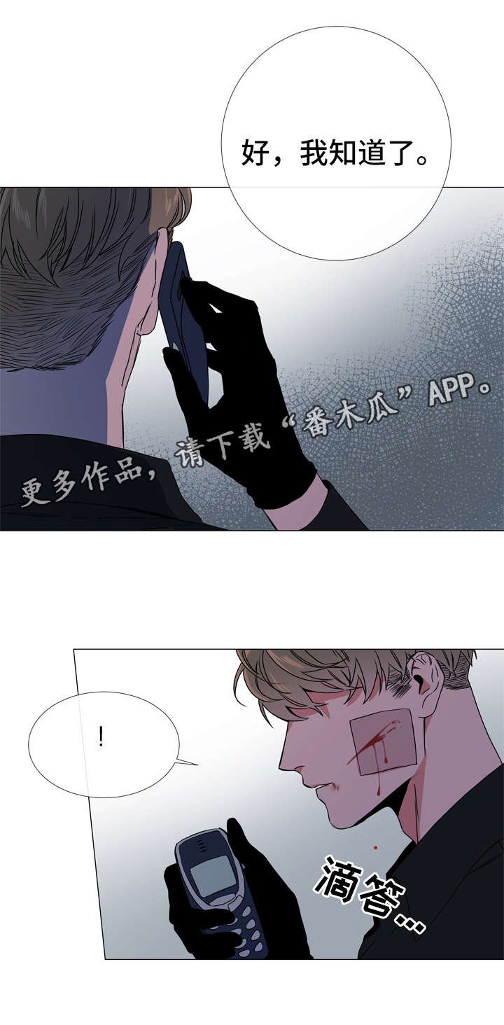 第46章：鉴赏诗集