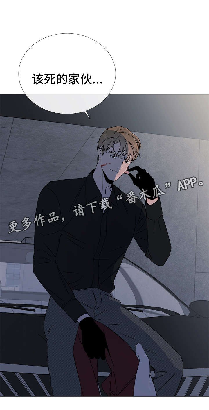 第46章：鉴赏诗集