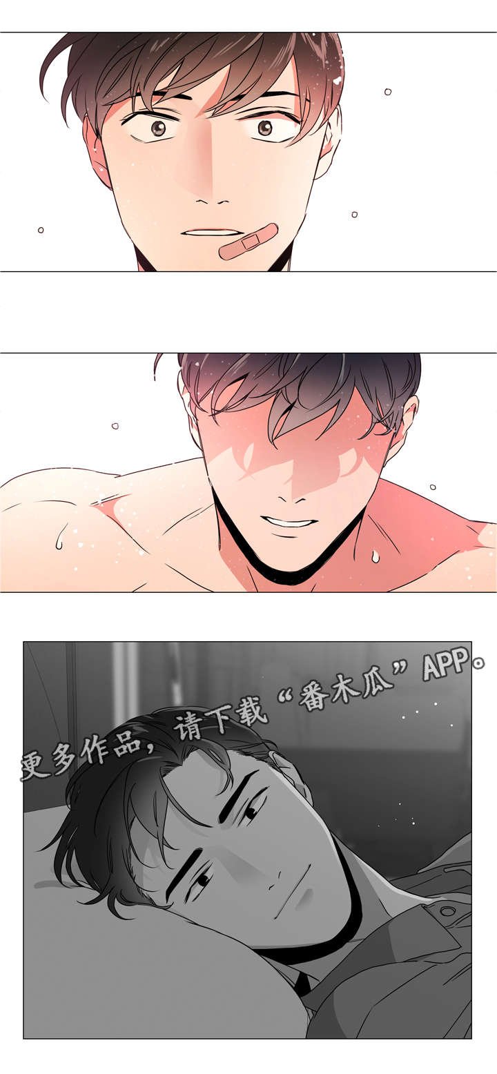 第47章：一见钟情的瞬间