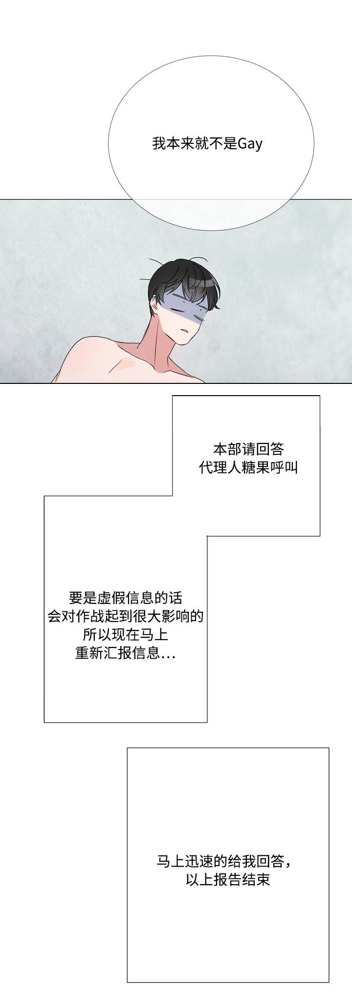 第5章：虚假信息