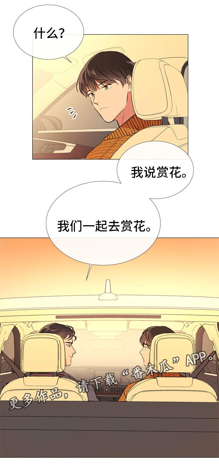 第51章：各自心思