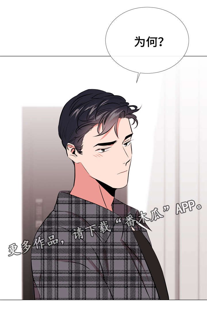 第57章：爱心便当