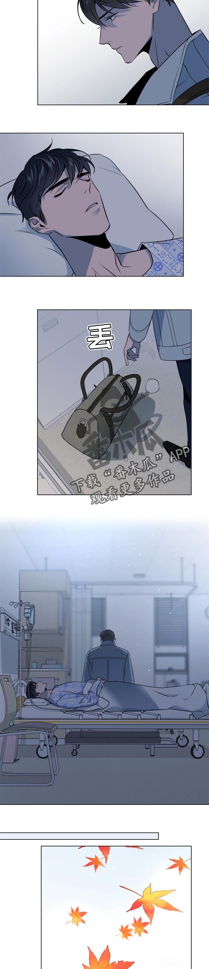 第96章：暴风雨前夕的宁静