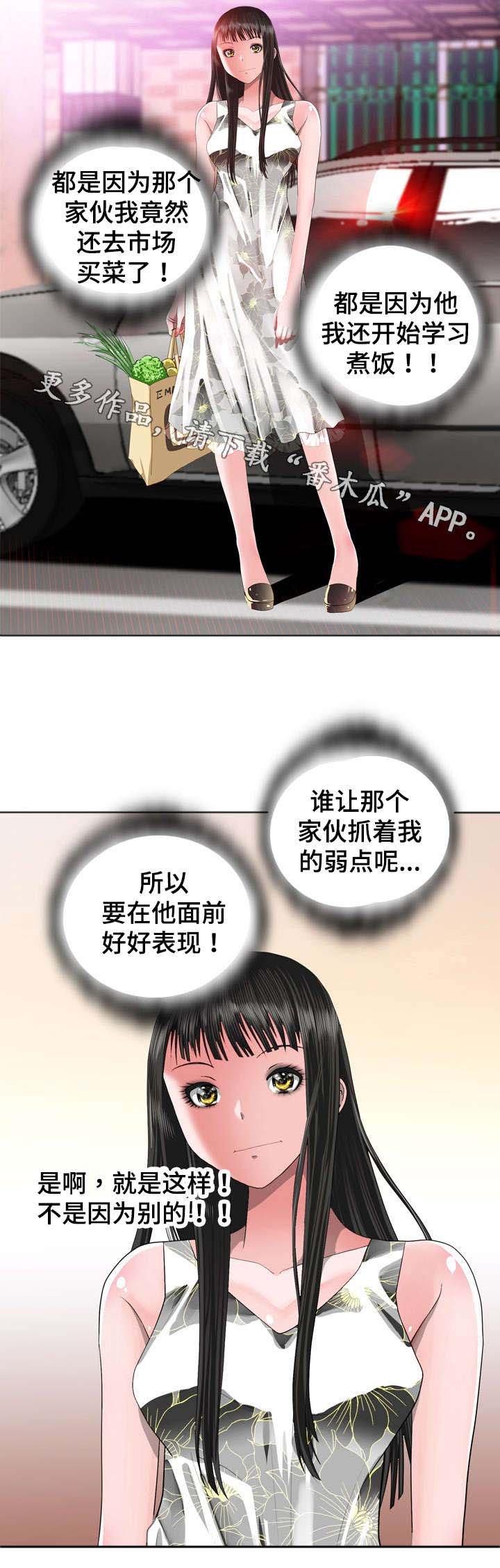 第29章：分歧