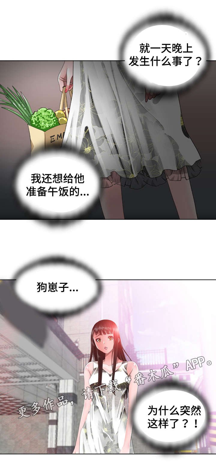第29章：分歧