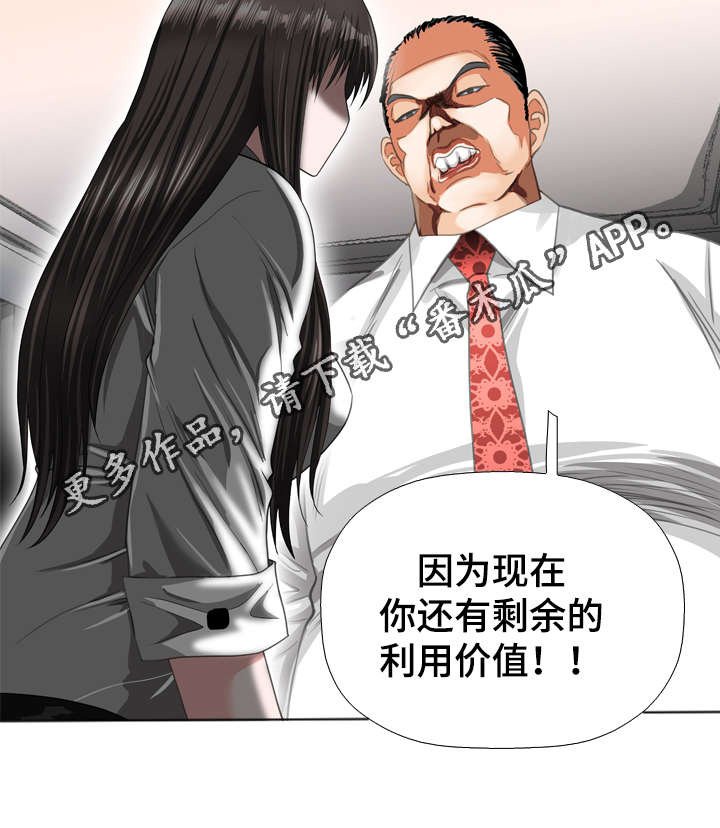第52章：价值
