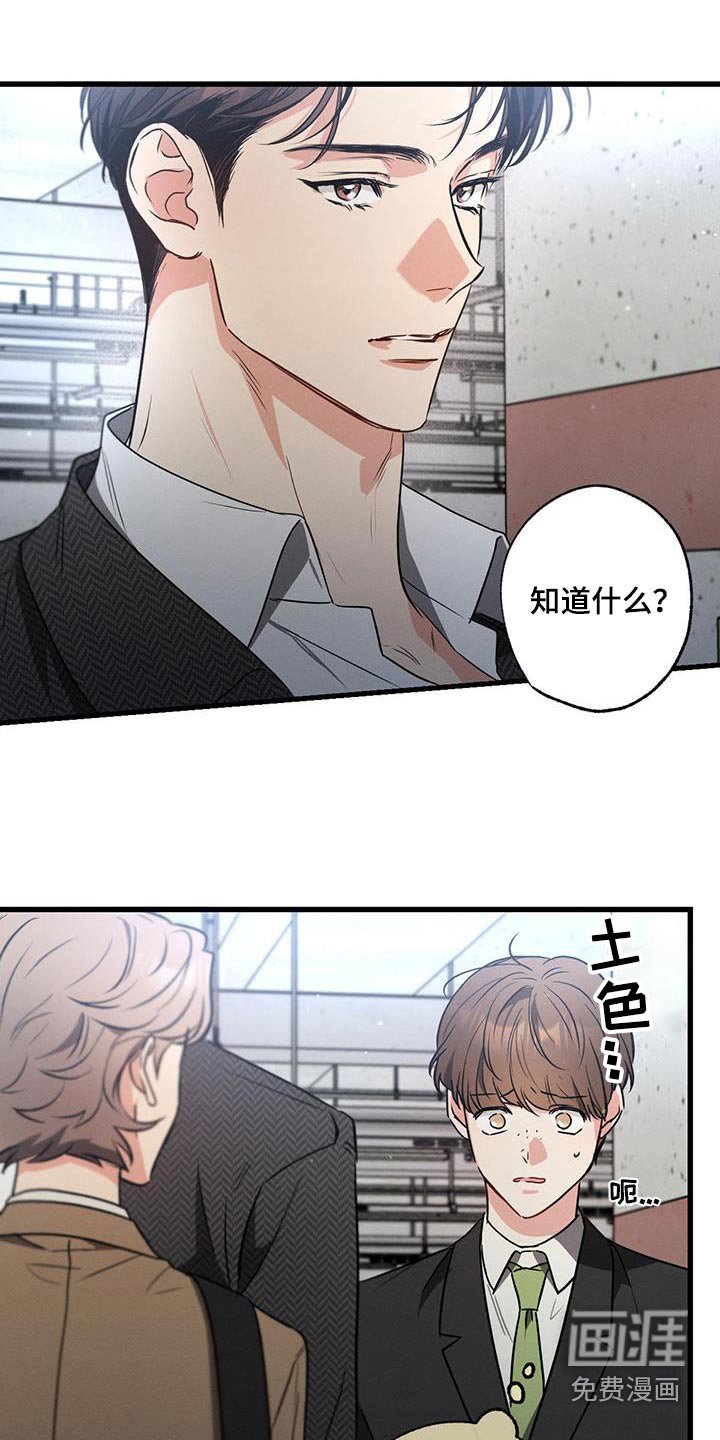 第120章：【第二季】聊什么
