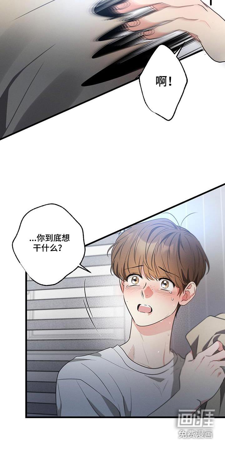 第157章：【第二季】为什么哭