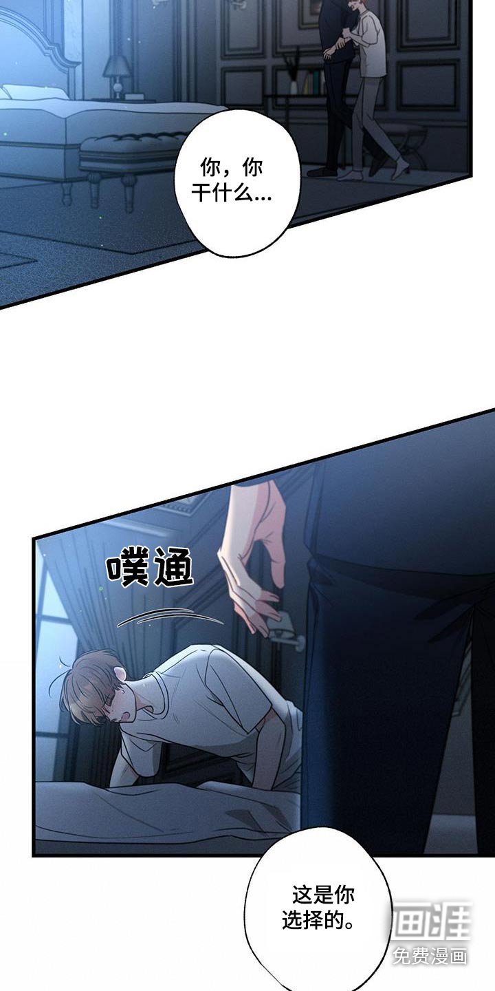 第158章：【第二季完结】你的选择