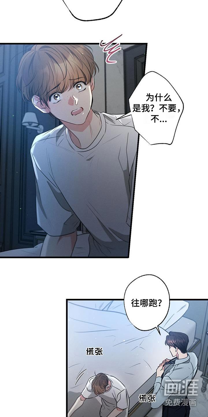 第158章：【第二季完结】你的选择