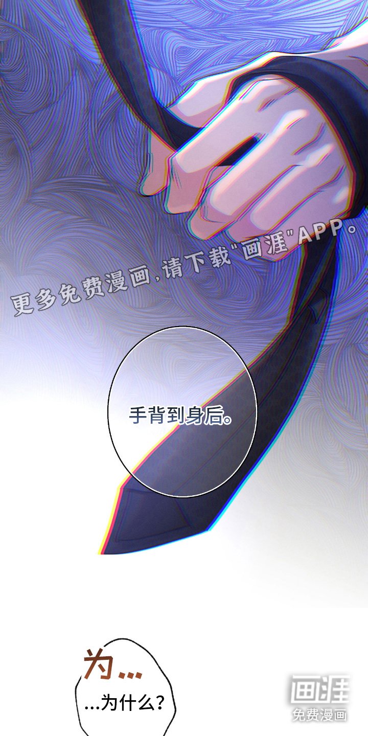 第164章：【第三季】合同
