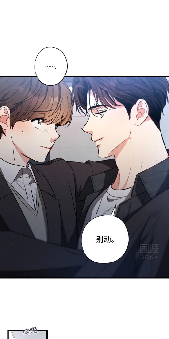 第169章：【第三季】平和的心情