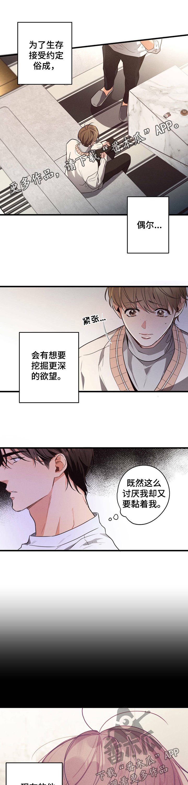 第37章：网络用词