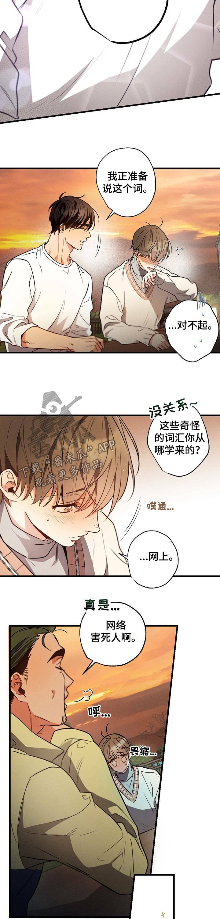 第37章：网络用词