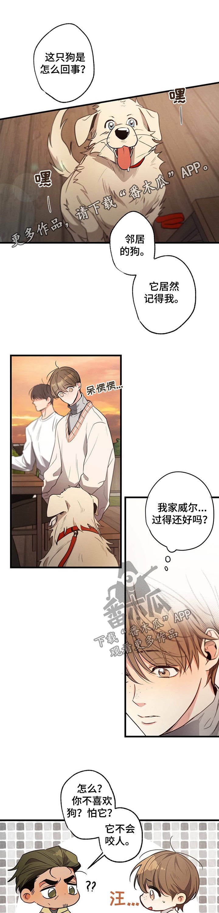 第38章：抱着狗哭