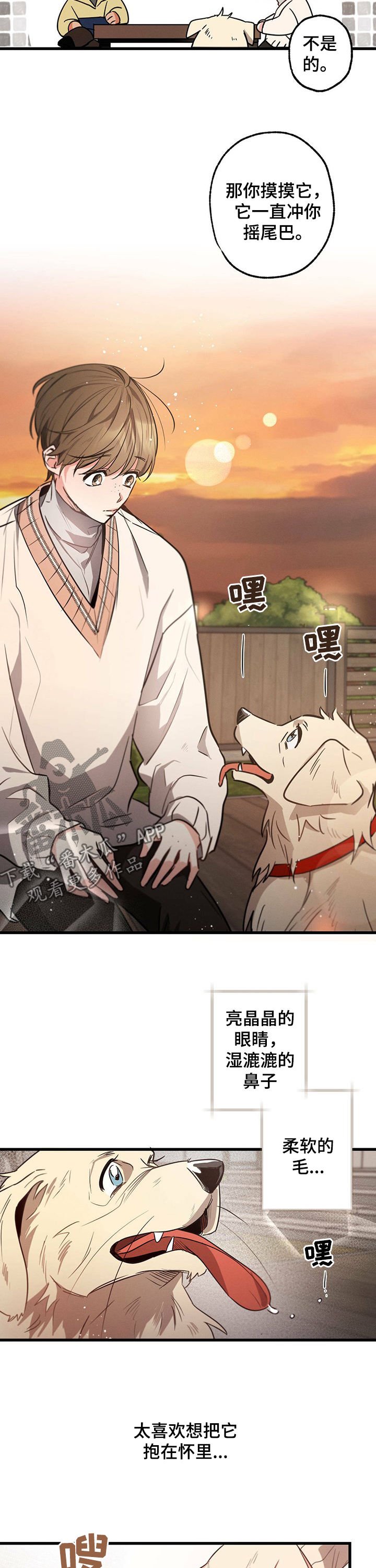 第38章：抱着狗哭