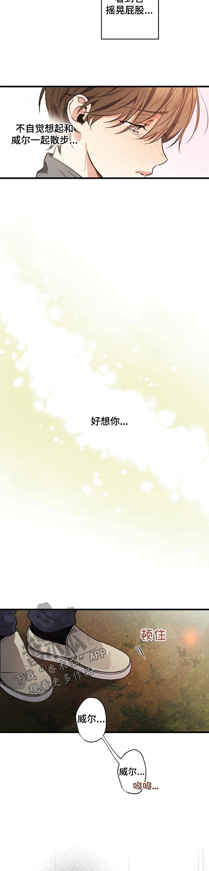 第38章：抱着狗哭