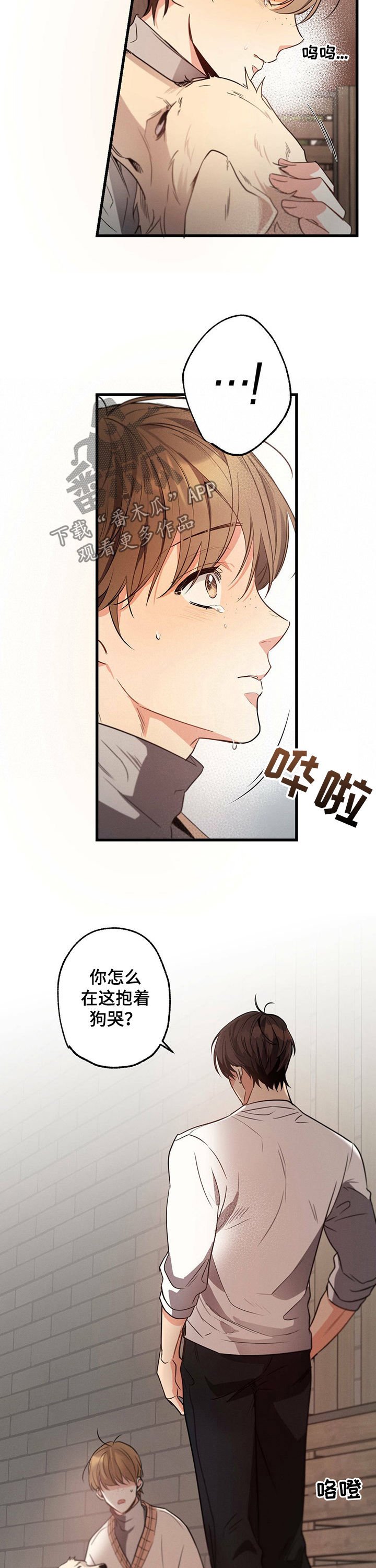 第38章：抱着狗哭