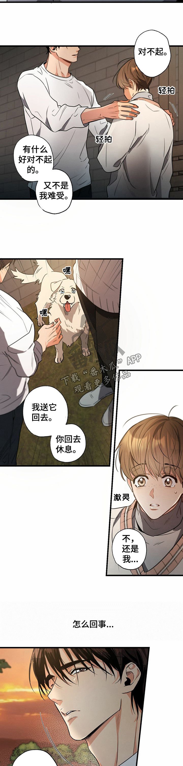 第38章：抱着狗哭