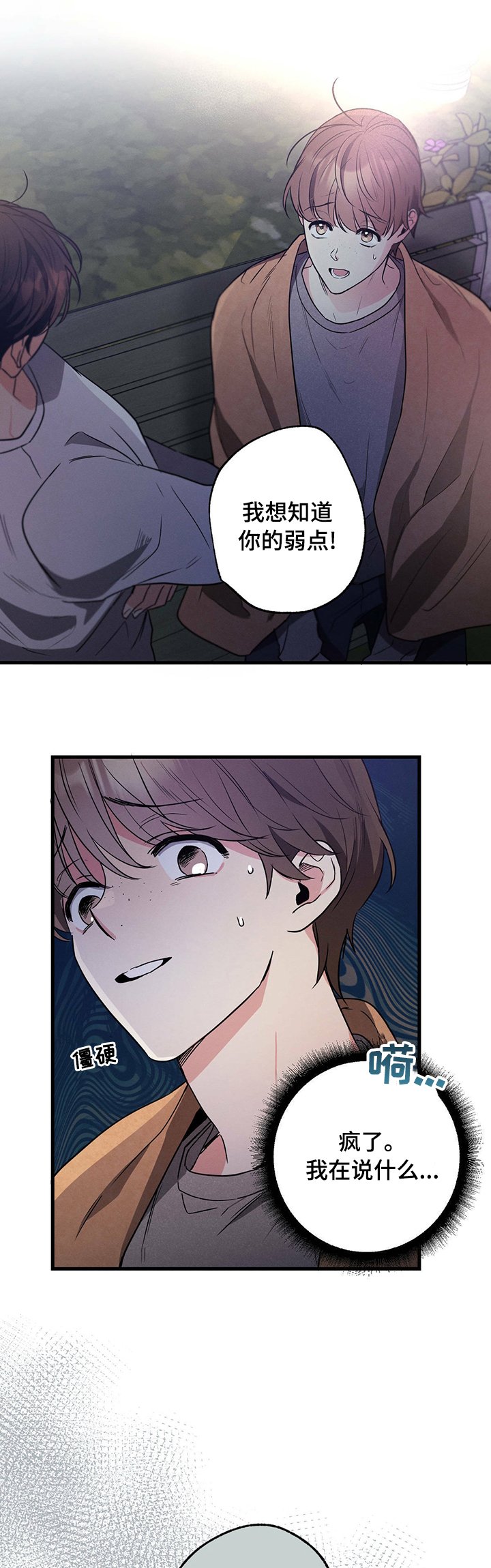 第40章：弱点