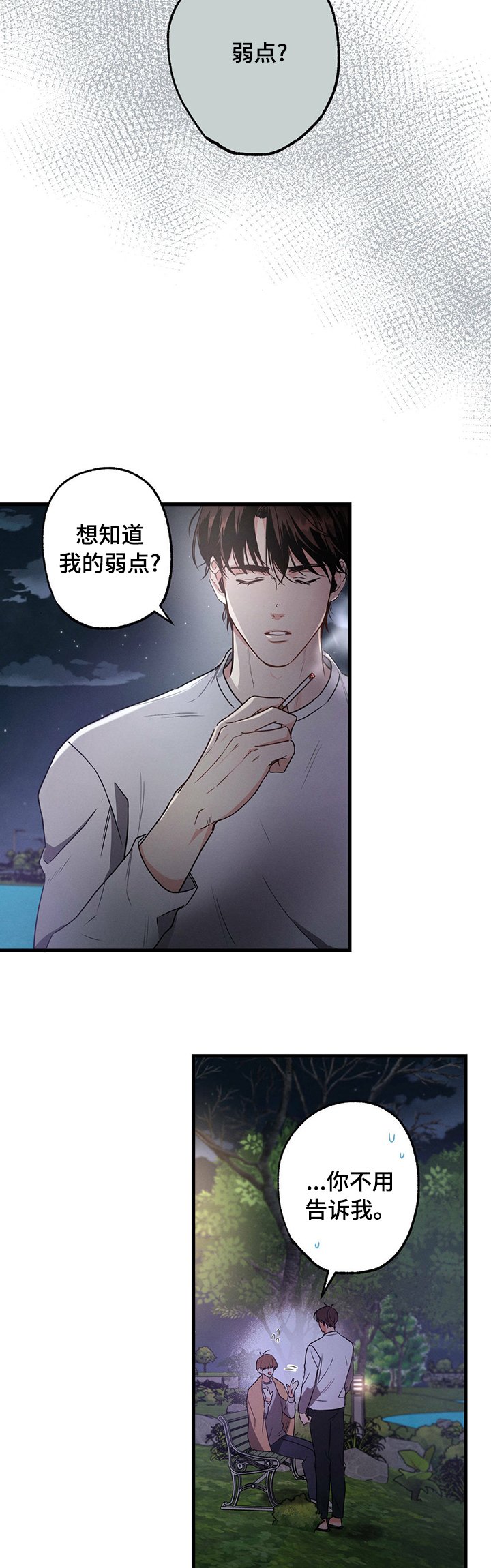 第40章：弱点